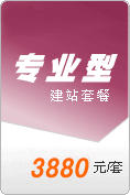 專業(yè)型網站建設